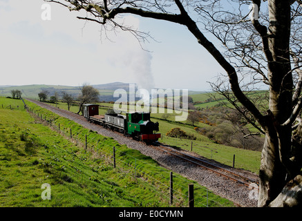 A train going into Woody Bay station on the Lynton and Barnstaple Railway on a short section of the narrow gauge line . Stock Photo