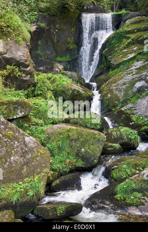 scenery showing the Triberg Waterfalls in the Black Forest in Southern Germany at summer time Stock Photo