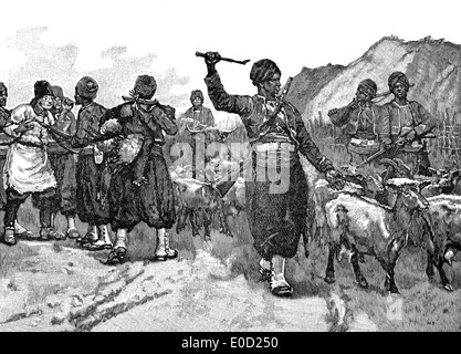 French zouaves during the Crimean War, 1853 - 1856, Stock Photo