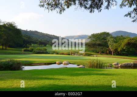 Gary Player Country Club Golf Course, Sun City holiday resort, Pilanesberg, North West Province, Republic of South Africa Stock Photo