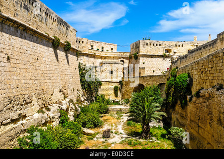 An overgrown open space between two massive defensive walls of historic Fort Saint Elmo which now needs significant restoration Stock Photo