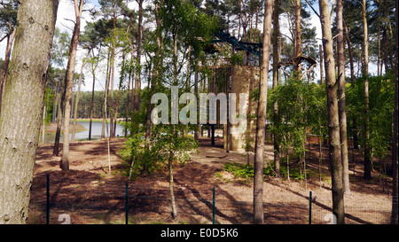 Woburn Forest Centre Parcs construction of the new holiday retreat village park parks parc center abbey manor safari animals Stock Photo