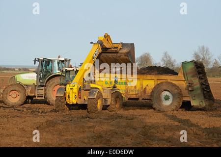 Muck spreading contractors Stock Photo - Alamy
