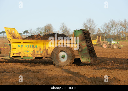 Muck spreading contractors Stock Photo - Alamy