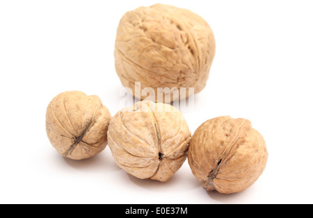 Closeup of brown and fresh walnuts isolated on white background Stock Photo