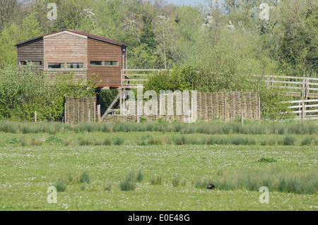 Lee Valley Regional Park, bird hide, Cheshunt Hertfordshire England United Kingdom UK Stock Photo