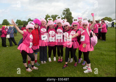 the 10th Pink Ribbon walk at Blenheim Palace Stock Photo - Alamy