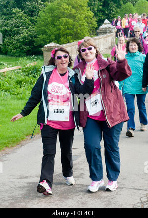 the 10th Pink Ribbon walk at Blenheim Palace Stock Photo - Alamy
