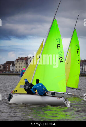 West Kirby, Liverpool. 10th May, 2014.  British Open Team Racing Championships Trophy 2014.  Sailing’s Premier League ‘The Wilson Trophy’ 200 Olympic-class sailors compete annually on Kirby’s marine amphitheatre in one of the World’s favourite events where hundreds of spectators follow 300 short, sharp frenzied races in three-boat teams jostling on a marina lake the size of a football field to earn the coveted title: “Wilson Trophy Champion.” Credit:  Cernan Elias/Alamy Live News Stock Photo