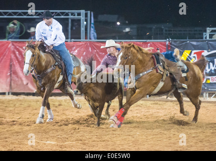 Cowboys Participating in a Calf roping Competition at the Clark county Rodeo in Logandale Nevada Stock Photo