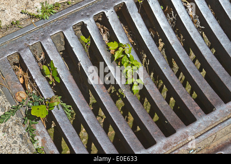 Close up of an old, metal street storm drain grate Stock Photo
