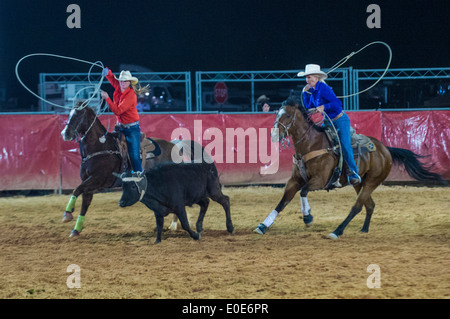 Cowboys Participating in a Calf roping Competition at the Clark county Rodeo in Logandale Nevada Stock Photo