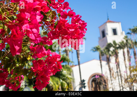 Los Angeles California,LA Union Station,railway station,railroad terminal,building,exterior,tower,Mission Revival architecture,Bougainvillea,flower,cl Stock Photo