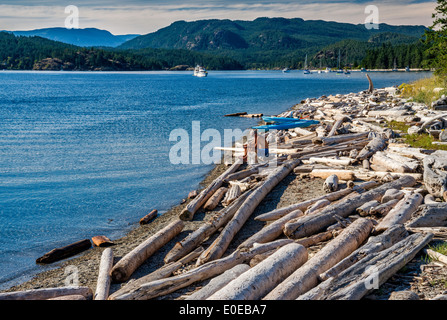 People sitting on driftwood on beach at Drew Harbour, Rebecca Spit Provincial Park, Quadra Island, British Columbia, Canada Stock Photo