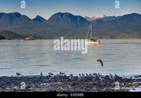 Sailboat at Sutil Channel, Discovery Islands, sunset, Rebecca Spit Provincial Park, Quadra Island, British Columbia, Canada Stock Photo