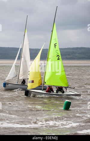 West Kirby, Liverpool, UK.  11 May 2014.  British Open Team Racing Championships Trophy 2014.  Sailing’s Premier League ‘The Wilson Trophy’ 200 Olympic-class sailors compete annually on Kirby’s marine amphitheatre in one of the World’s favourite events where thousands of spectators follow 300 short, sharp frenzied races in three-boat teams jostling on an area the size of a football field to earn the coveted title: “Wilson Trophy Champion. Credit:  Cernan Elias/Alamy Live News Stock Photo