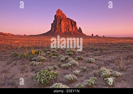 Wildflowers and Shiprock, New Mexico USA Stock Photo