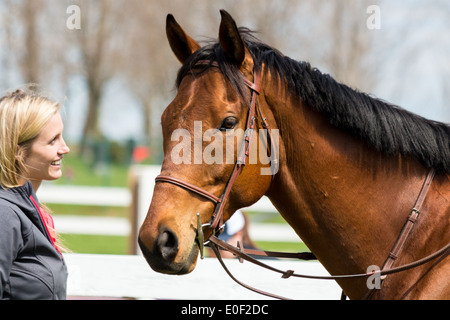 Blonde woman smiling and looking at Bay horse head wearing english snaffle bridle  with d-bit Stock Photo