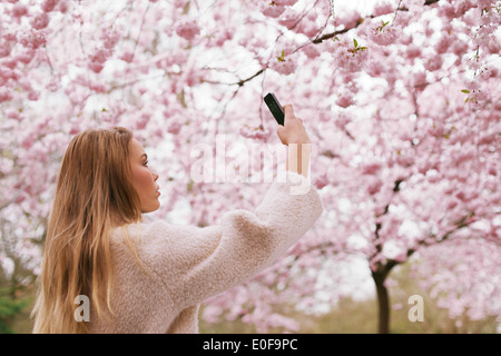 Beautiful young female taking pictures of pink blossom flowers at a spring blossom park. Beautiful caucasian woman photographing