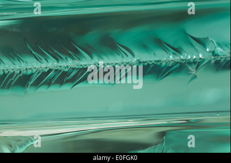 Sharp dangerous edge of plate glass internal reflection brings out green color and depth Stock Photo