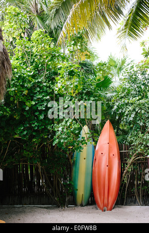 Two surfboards leaning against a wooden wall among lush trees and greenery. Stock Photo
