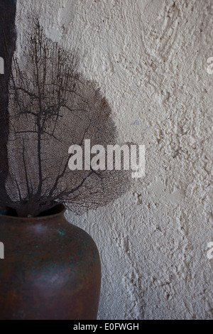 Brown floral leaf in brown vase against beige wall. Stock Photo