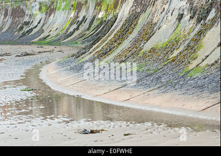 Part of sea wall defense on an english seaside beach with seaweed algae growing Stock Photo