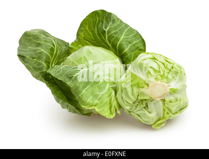 cabbage isolated Stock Photo