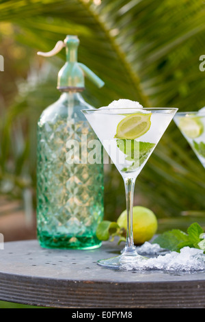 Single stemmed wide cocktail glass on garden metal table with iced drink, with soda syphon and lemon in background Stock Photo