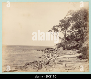 Cabbage Tree Point is a coastal area in Queensland, Australia, known ...