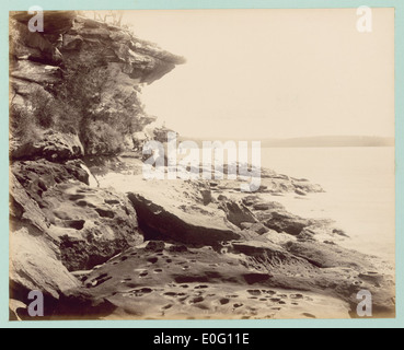 Cabbage Tree Point is a coastal area in Queensland, Australia, known ...