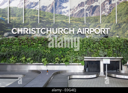 Living wall of green plants in Christchurch Airport New Zealand. Baggage luggage claim reclaim area with empty conveyor carousel Stock Photo