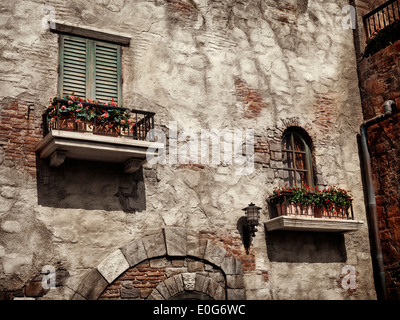 Old rustic house windows with flowers, antique architecture in Venetian style sepia toned Stock Photo