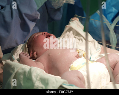 Large for gestational age newborn baby (5.2kg) being attended to by neonatal team. Stock Photo