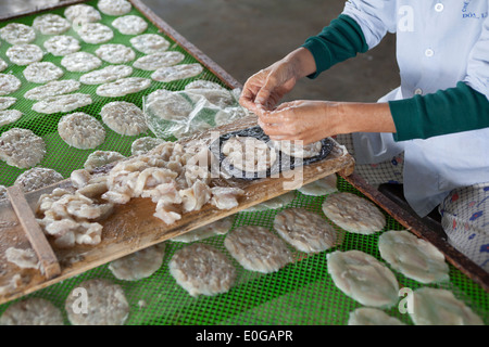 Drying Racks in Fish Processing Factory Hoi An Vietnam Stock Photo