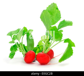 closeup of some radishes on a white background Stock Photo