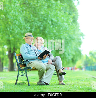 Elderly couple reading a book seated on a bench in park Stock Photo
