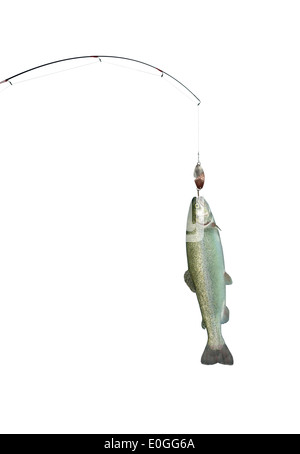 fish on hook. trout bait. catch fish. fishing on lake. hobby and