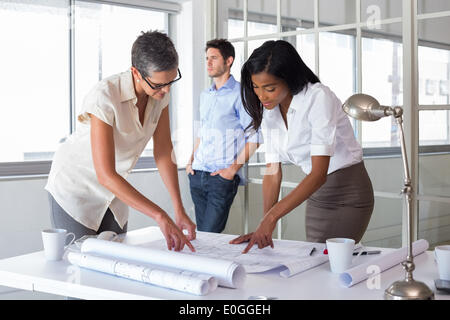 Architects working hard on plans Stock Photo