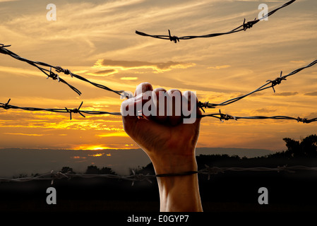 hand behind barbed wire with sunset in the background Stock Photo