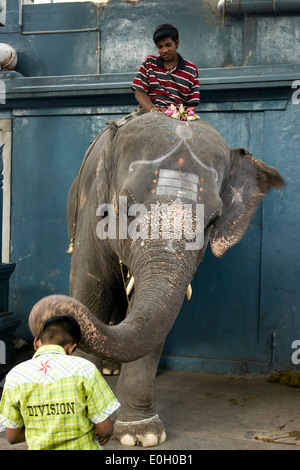 India, Pondicherry, Sri Manakula Vinayagar Temple boy blessed by trunk of elephant Stock Photo
