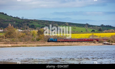 The Cathedrals Express Steaming Along The Teign Estuary Stock Photo