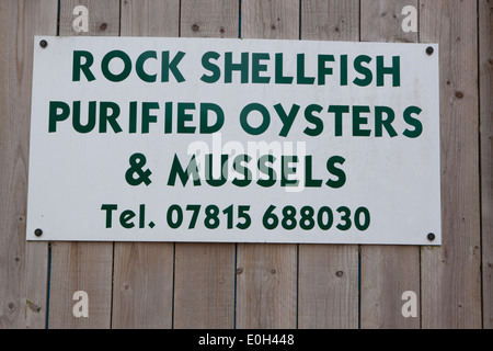 Sign out side Oysters Beds on the seashore at Rock in Cornwall Stock Photo