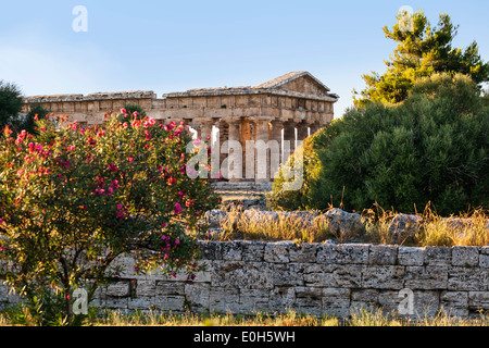 Poseidon Temple, Neptune Temple, historic town of Paestum in the Gulf of Salerno, Capaccio, Campania, Italy, Europe Stock Photo