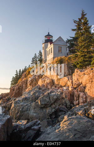 lighthouse at sunset, Acadia, Maine, USA Stock Photo