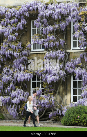 STUDENTS WALKING PAST THE WISTERIA  ON THE MASTER'S LODGE AT CHRIST'S COLLEGE CAMBRIDGE Stock Photo