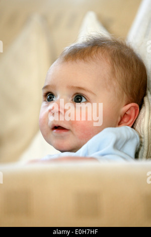 12 TWELVE MONTH OLD BABY BOY LEARNING TO CRAWL Stock Photo