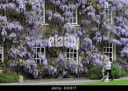 STUDENTS WALKING PAST THE WISTERIA  ON THE MASTER'S LODGE AT CHRIST'S COLLEGE CAMBRIDGE Stock Photo