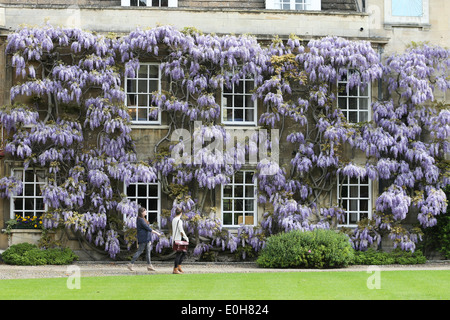 STUDENTS WALKING PAST THE WISTERIA  ON THE MASTER'S LODGE AT CHRIST'S COLLEGE CAMBRIDGE Stock Photo