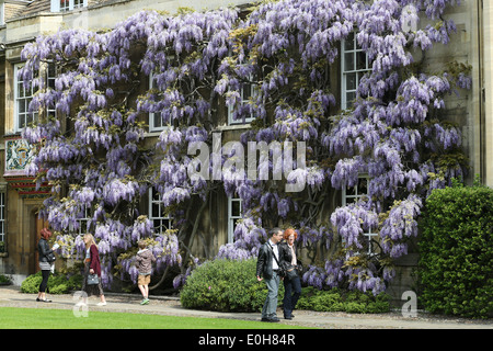 STUDENTS WALKING PAST THE WISTERIA  ON THE MASTER'S LODGE AT CHRIST'S COLLEGE CAMBRIDGE Stock Photo